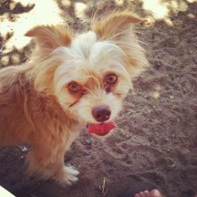 10489860_10103047934037559_6467488865204118117_n