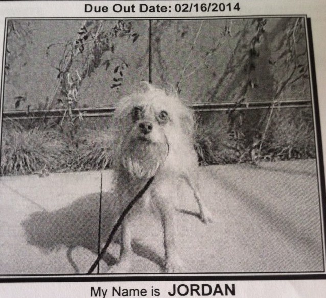 10590484_10103111472705559_5286345494196095458_n