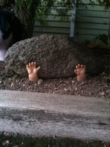 12049173_10104410380454019_1570066492469759382_n