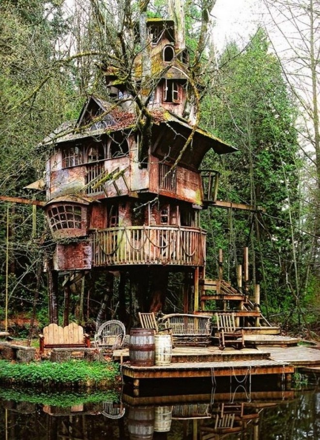 Redmond Tree House
