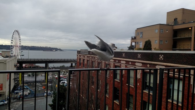 seattle-ferris-wheel