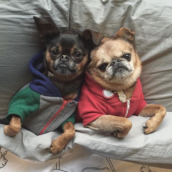 Secret Second Family