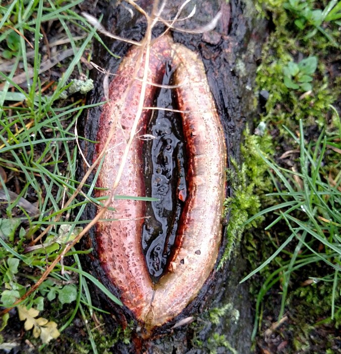 Photo: Sydney Parker 