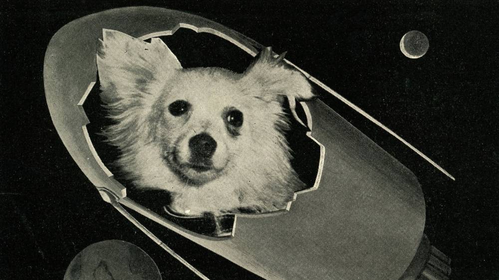 soviet-space-dogs-1455897629